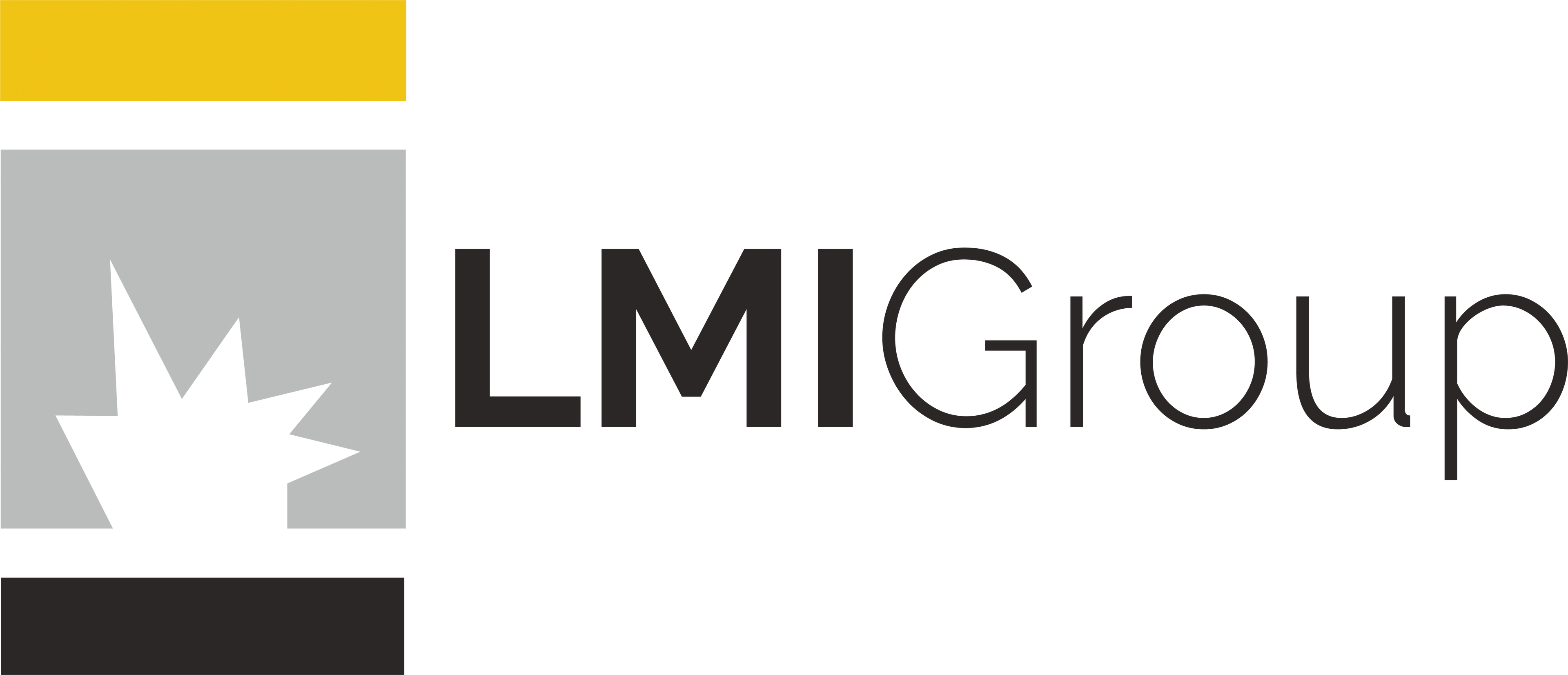 LMI Logo